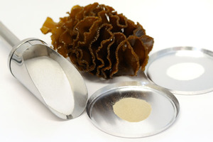 Maritech fucoidans gain European novel foods status