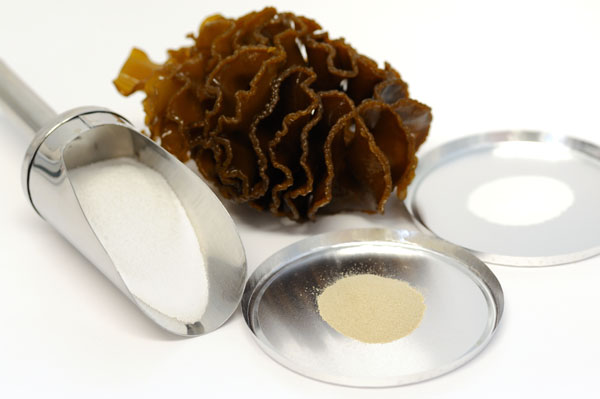 Maritech fucoidans gain European novel foods status