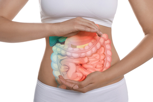 MartinBauer debuts prebiotic fibre ingredient line for holistic gut health