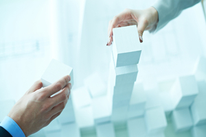 Maxim Partners acquires majority share in Stratum Nutrition 