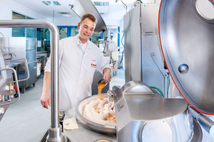 Meatless alternatives for the mass market
