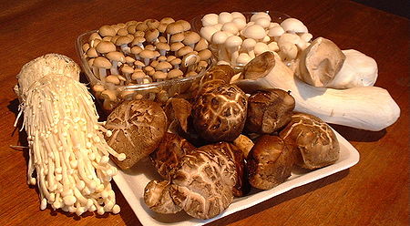 Medicinal mushrooms