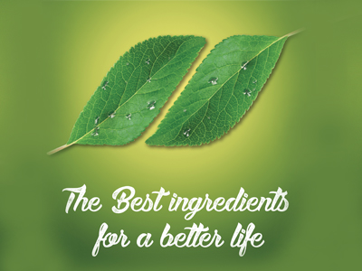 Meet Faravelli at Nutraceuticals Europe 2019