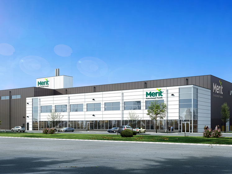 Merit Functional Foods partners with Bunge to bring pea and canola protein to market