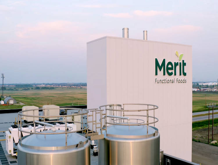 Merit to supply pea and canola protein to plant-based industry