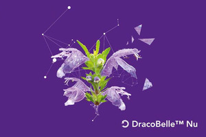 Mibelle Biochemistry achieves self-affirmed GRAS status for collagen-booster DracoBelle Nu sd