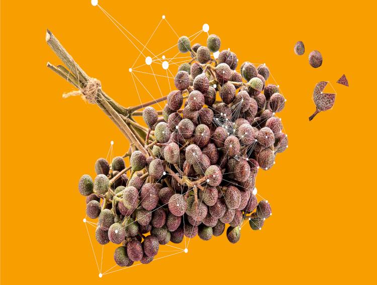 Mibelle launches SaraPEPP Nu in powder form 