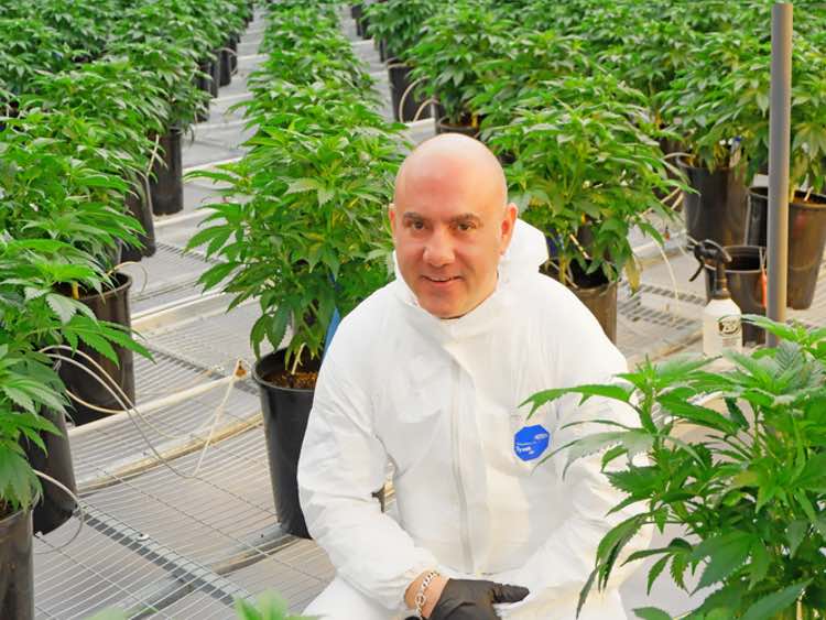 Michael Sassano: the man bringing US cannabis know-how to Europe 