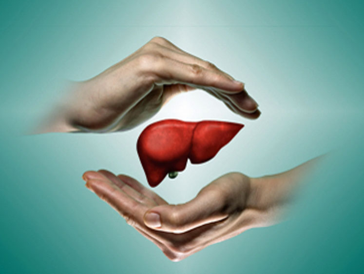 Microalgae-derived fucoxanthin: a powerful composition for liver health