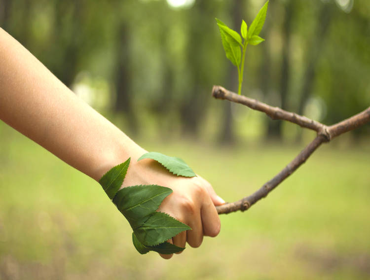 Minasolve launches three E-Leen antimicrobial blends 