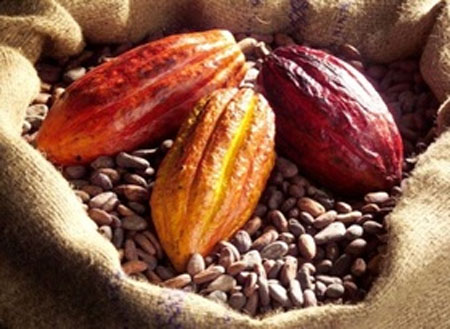 Mounting evidence demonstrates improved cognitive function from cocoa flavanol consumption