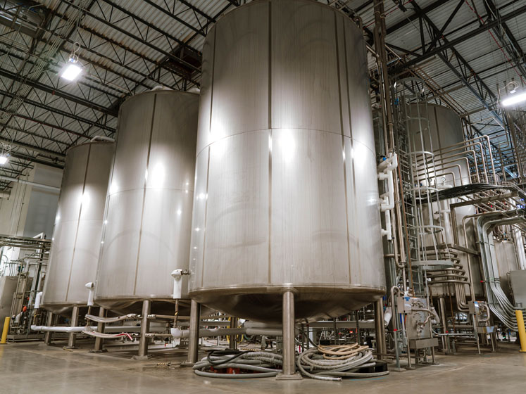 MycoTechnology's fermentation as a service unlocks scalable biomanufacturing amidst capacity crunch