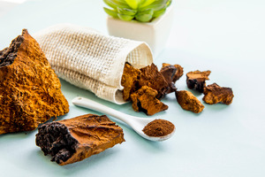 Nammex study outlines chaga testing framework for effective quality control