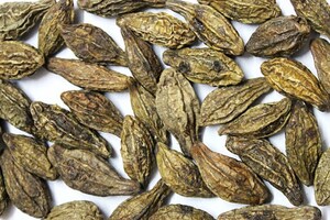 Natreon wins patent for tannoid blend extract 