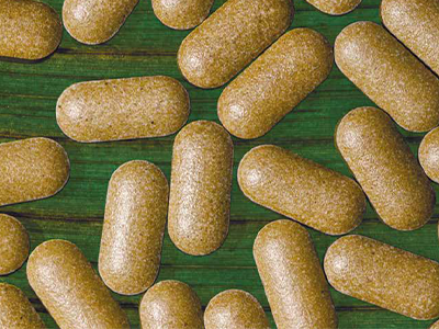 Natural alternative ingredients for tableting and capsule filling