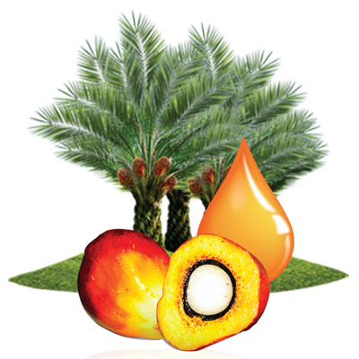 Natural palm mixed-carotenes: benefits beyond clean labels: part I

