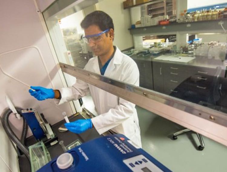 Natural products center gets NIH award to advance botanical research