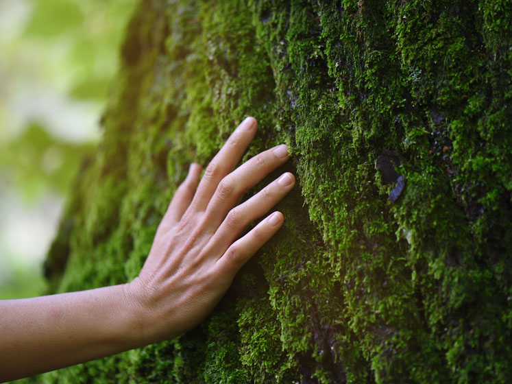 Navigating sustainability more confidently to champion a greener future for all