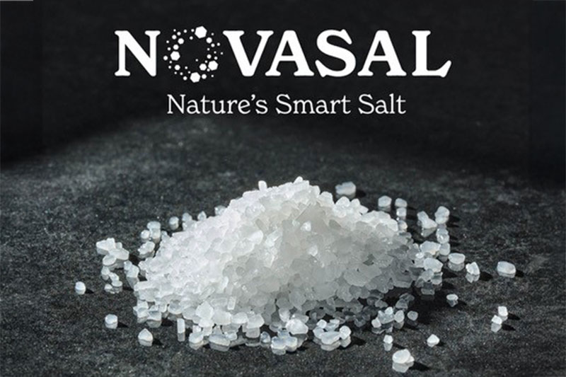 Nedmag launches Novasal blend, a magnesium-based breakthrough in sodium reduction