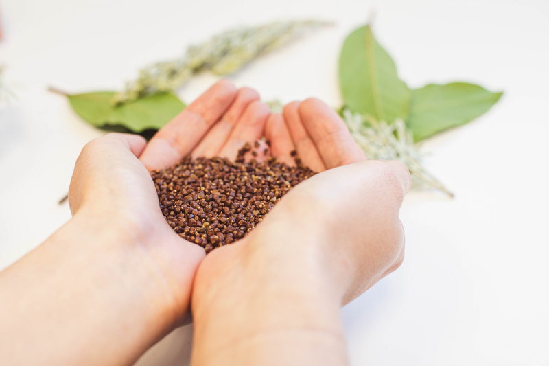 Nektium to launch stress-busting botanical extract at Vitafoods Europe 2024