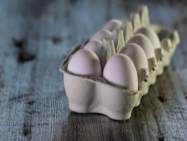 NEM eggshell membrane granted 1- day pain claim in Canada