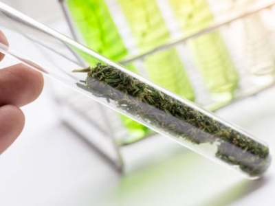 Neptune researches new medical and wellness cannabinoid-based products