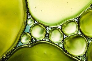 Nestle joins forces with global algal ingredients supplier   
