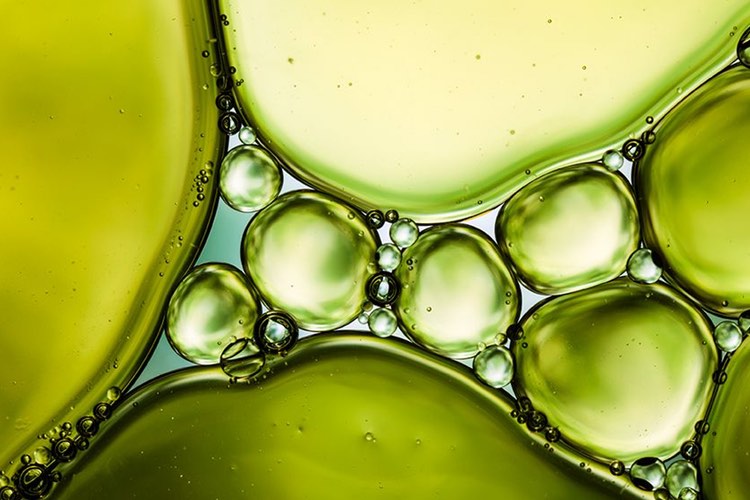 Nestle joins forces with global algal ingredients supplier   