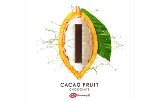 Nestlé invents sugar-free dark chocolate made entirely from cocoa fruit