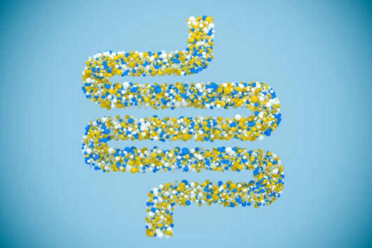 Neuraxpharm launches first probiotic to European market