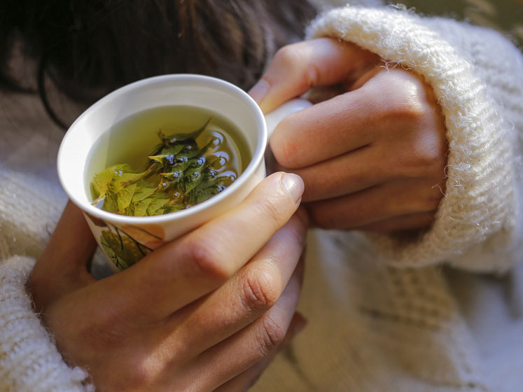 New botanical complex for cold and flu immune support