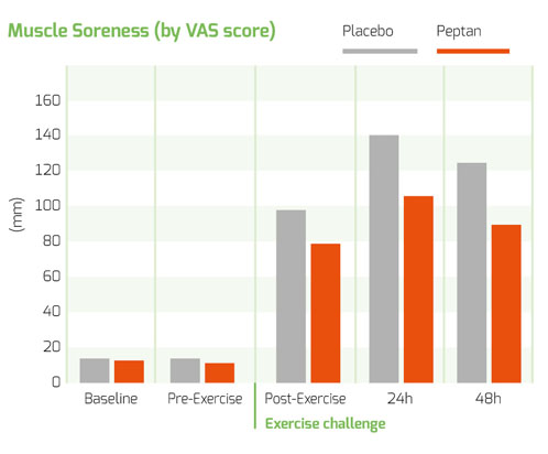 New clinical study highlights the efficacy of Peptan collagen peptides in sports recovery 