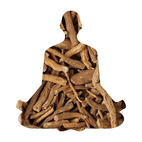 New delivery form of ashwaghanda ensures purity and potency