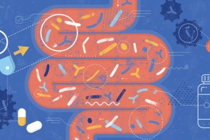 New development for probiotic food and food supplements in France