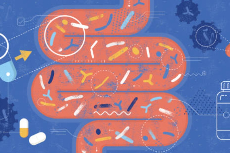 New development for probiotic food and food supplements in France