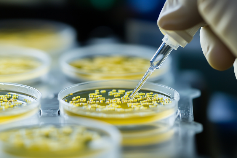 New gene-editing platform boosts sustainable fermentation of functional nutrients