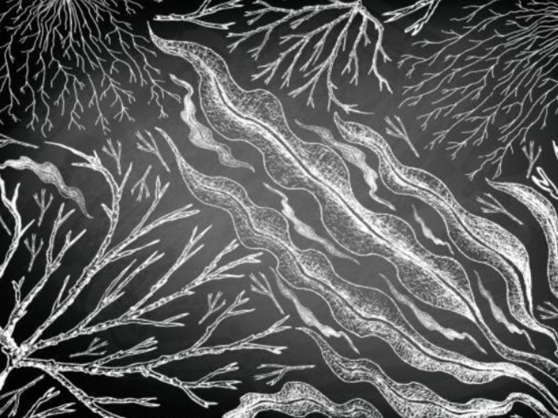 New graduate program creating biotechnology leaders