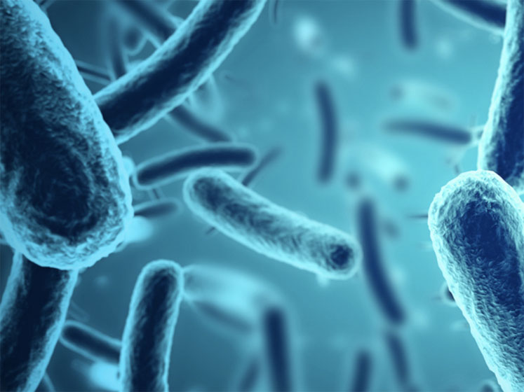 New gut health and immunity white paper launched