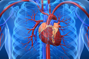 New MenaQ7 vitamin k2 cardiovascular study published