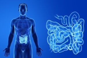 New method for increasing stability of oxygen-sensitive gut bacteria discovered