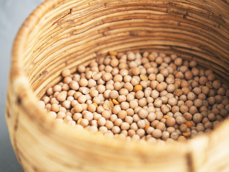 New Peazazz C pea protein from Merit delivers smooth texture in ready-to-drink beverages
