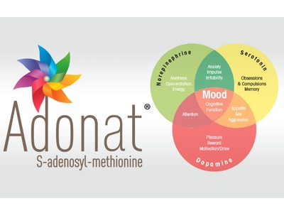 New perspectives of S-adenosyl-methionine in the CNS