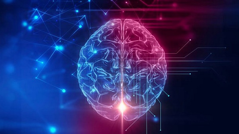 New research supports lutein and zeaxanthin usage for brain health
