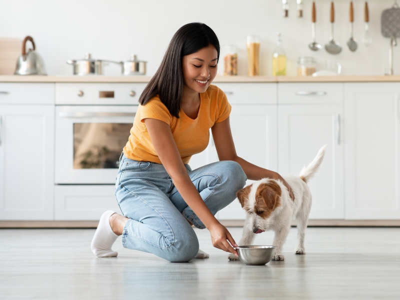 New study confirms low glycaemic properties of isomaltulose in dogs