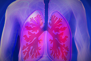 New study demonstrates Levagen+ positively impacts upper respiratory tract infections