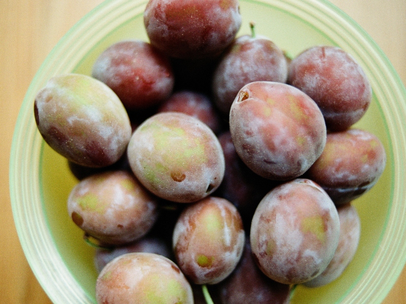 New study reveals cardiovascular benefits of regular prune intake
