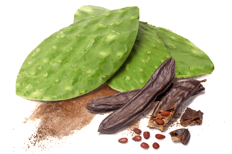Nexira debuts its GLP-1 Collection for natural weight management