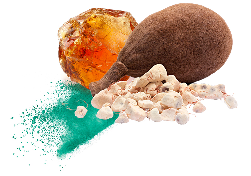 Nexira launches a new prebiotic ingredient