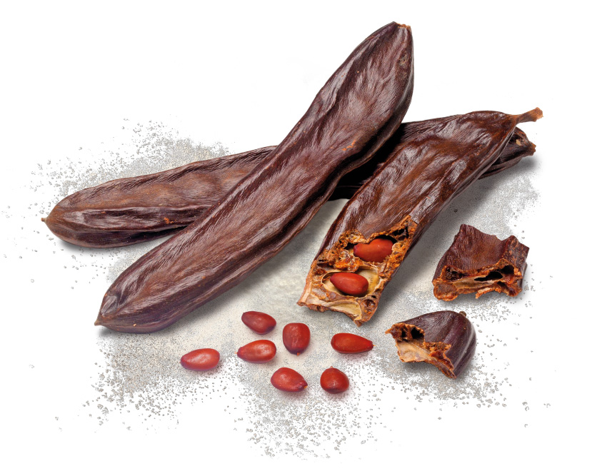 Nexira launches a new texturiser range of premium and performing locust bean gum