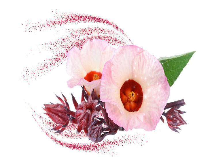 Nexira launches NutriBeauty for anti-ageing, skin and hair care